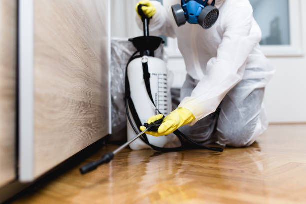 Best Residential Pest Control  in Alpine, UT